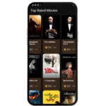Magis Tv Apk (en) 4 Top-rated movies screen with classics like The Godfather and Spirited Away.